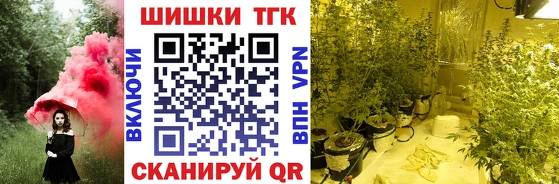 Конопля гибрид  Павловская 